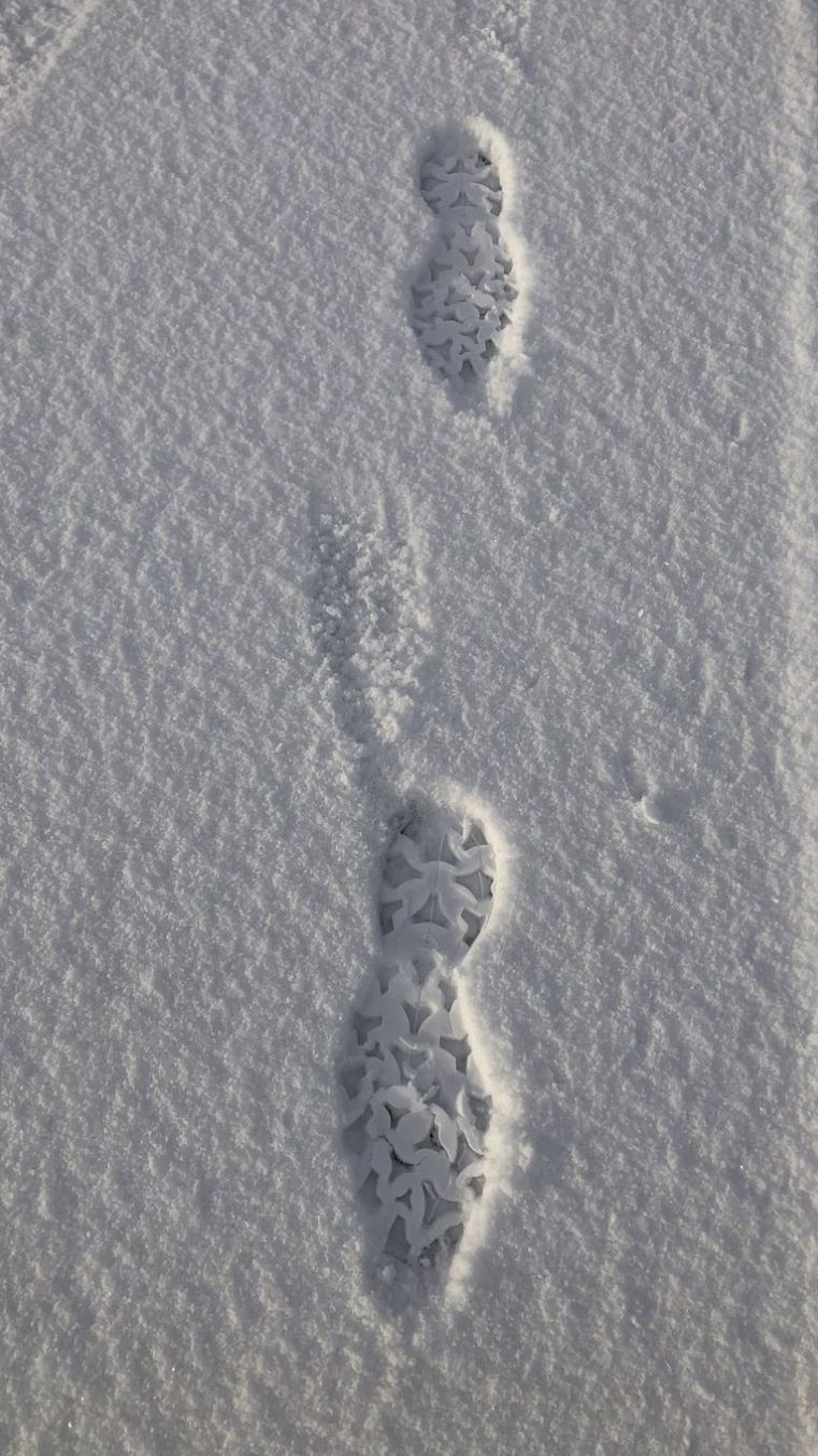 Profilabdruck im Schnee