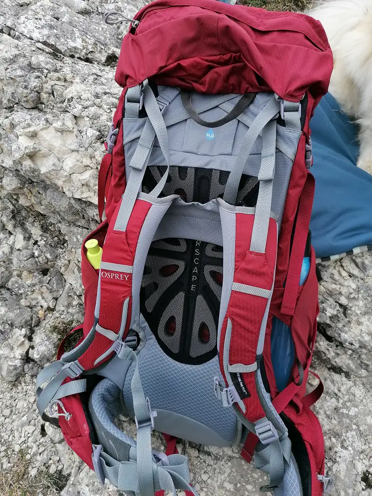 Rücken ganz