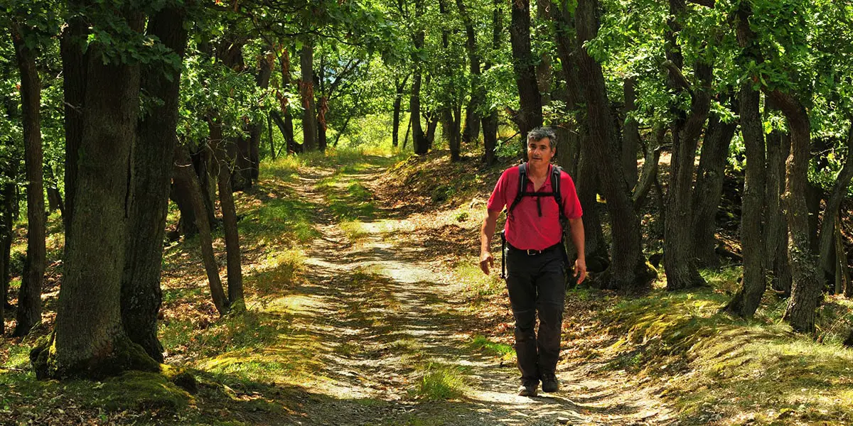 5_ Wisper Trails Rheingau _Robert Carrera