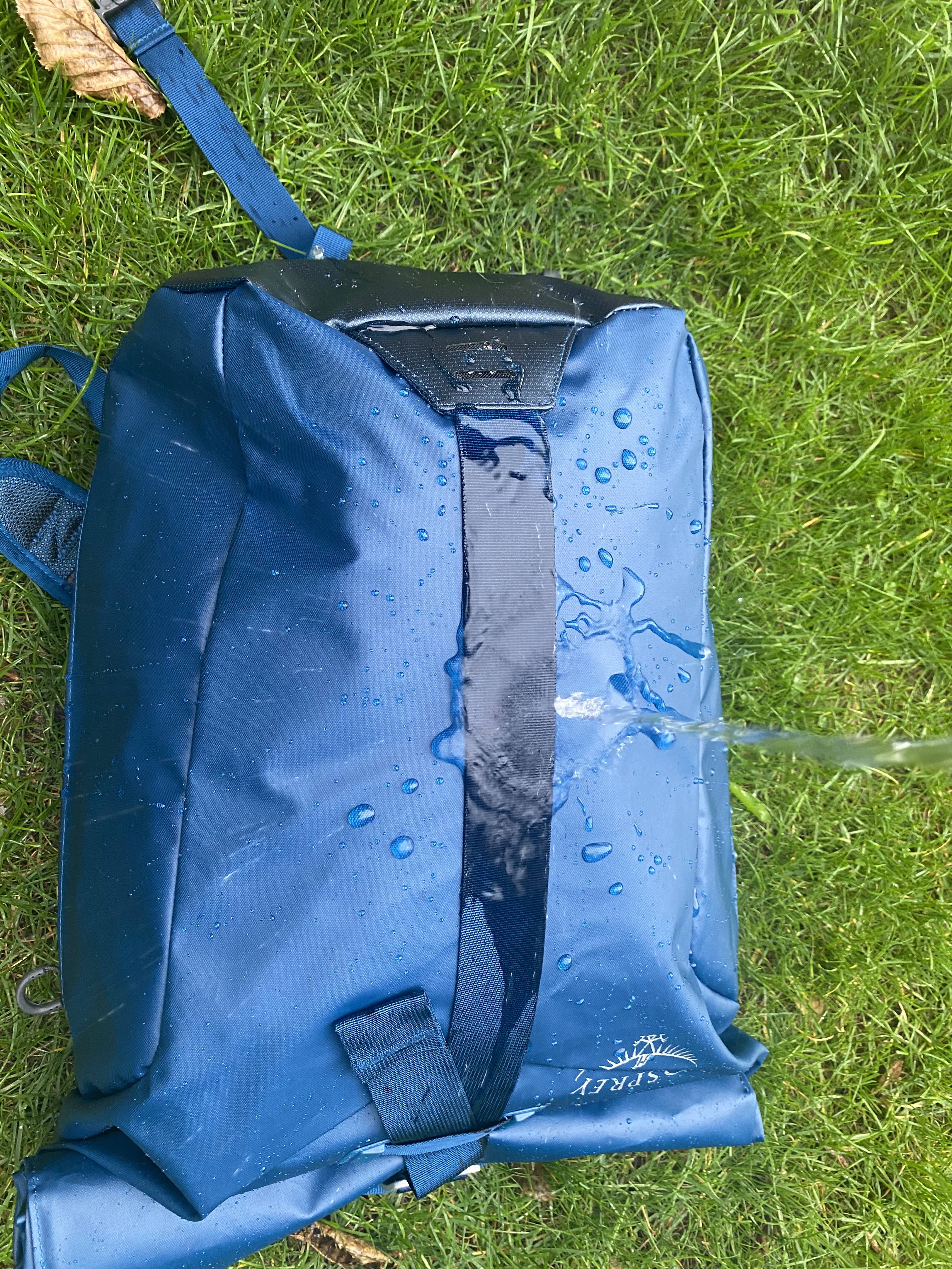 Regentest