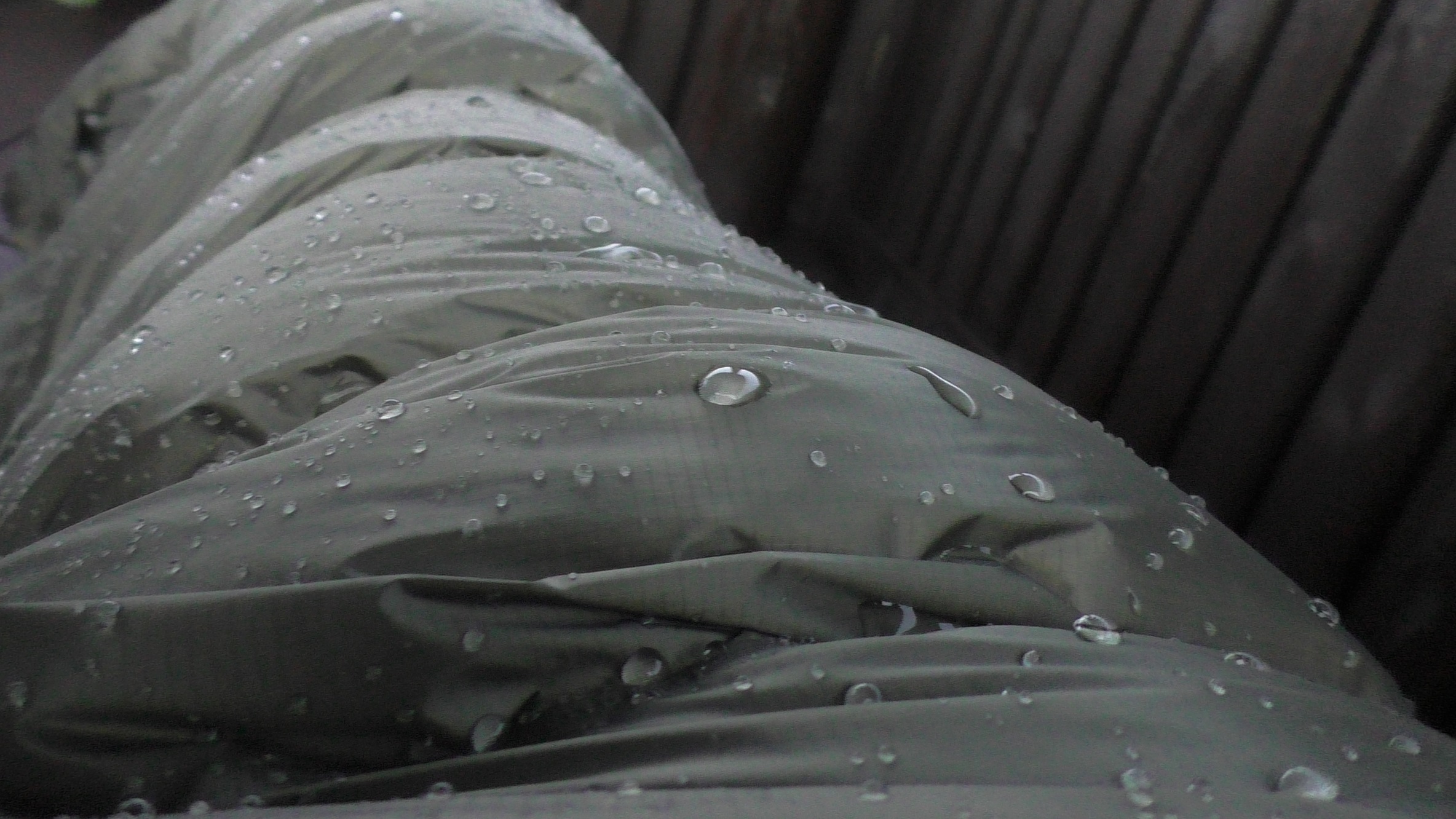 wassertest