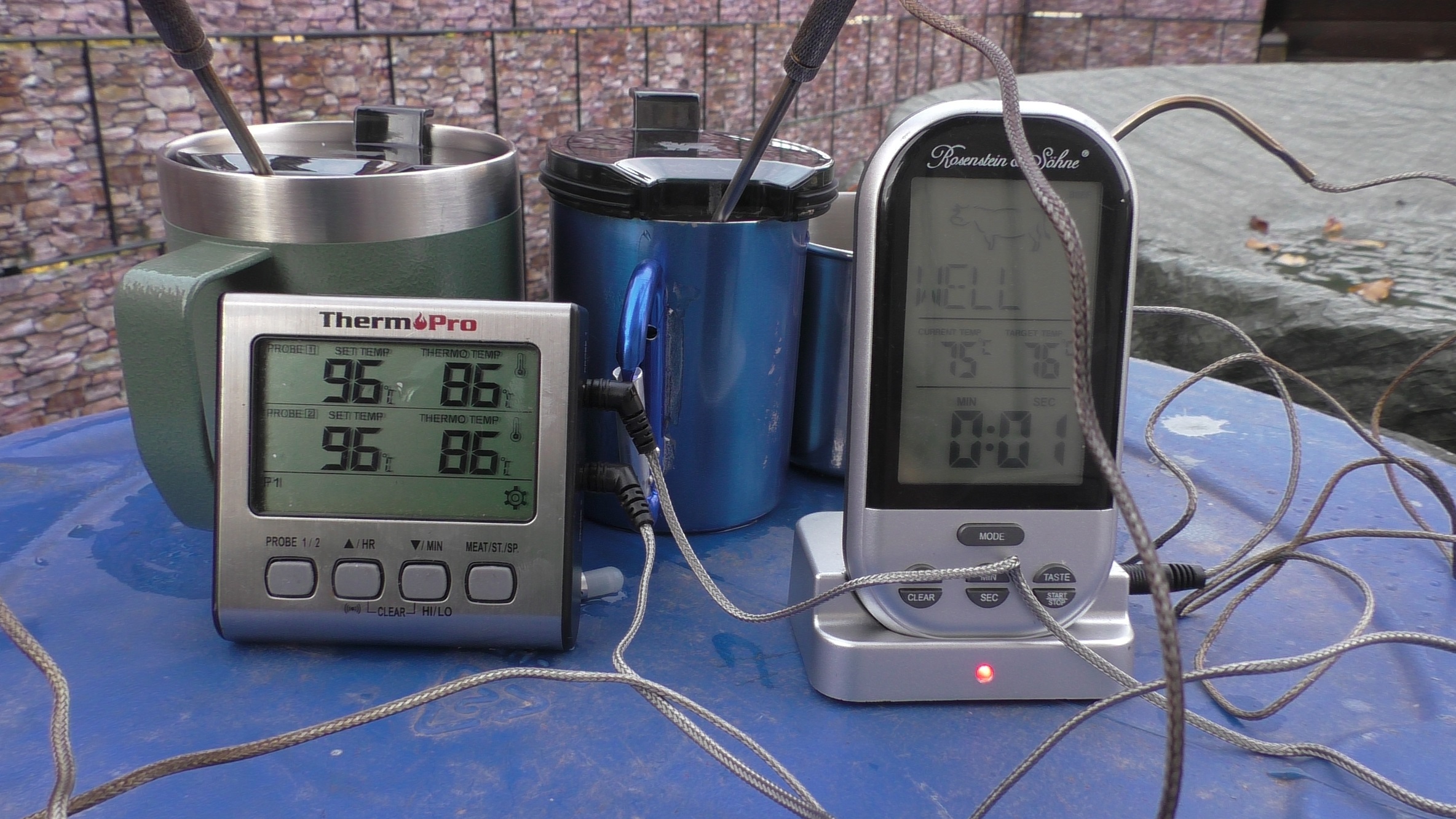 wassertest