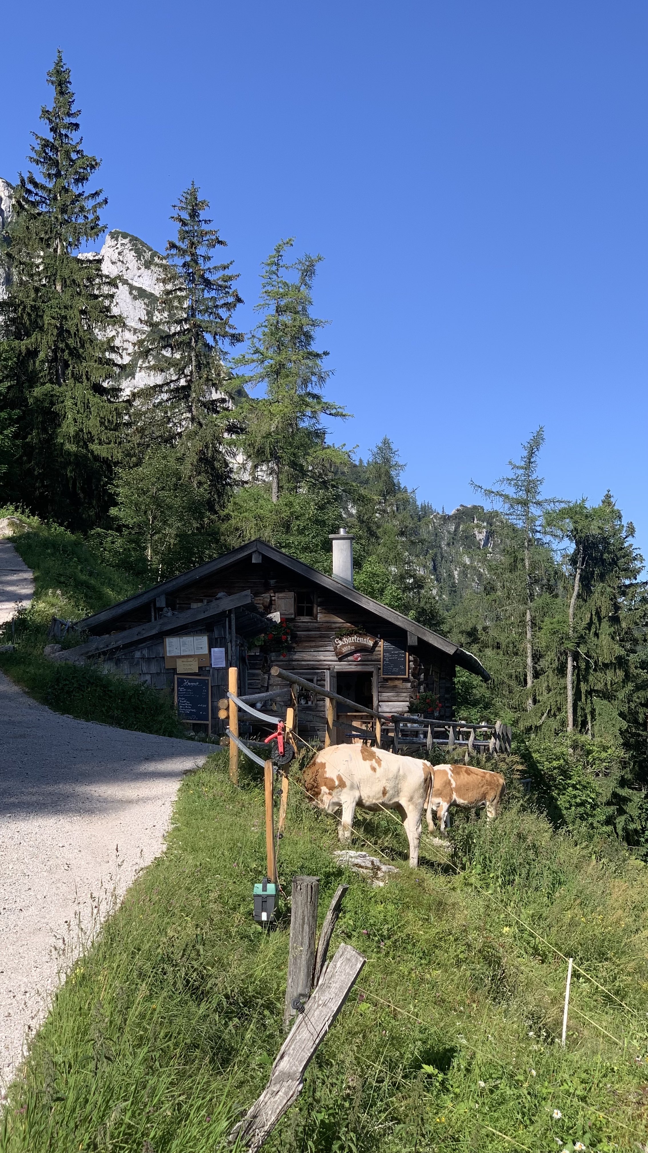Blick auf die Schärtenalm