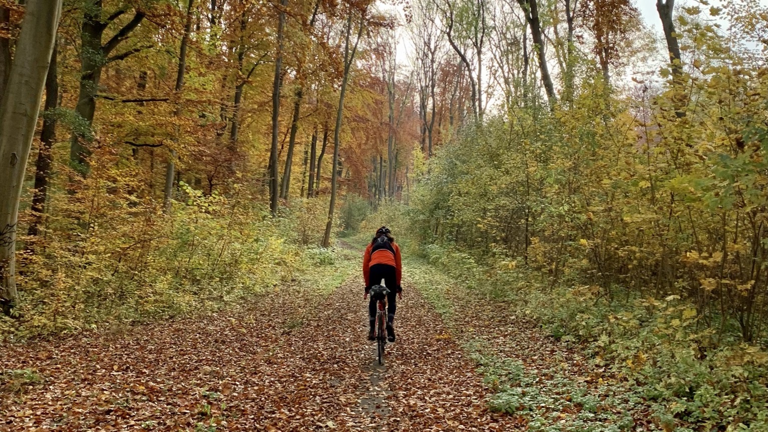HH München 761 km 2