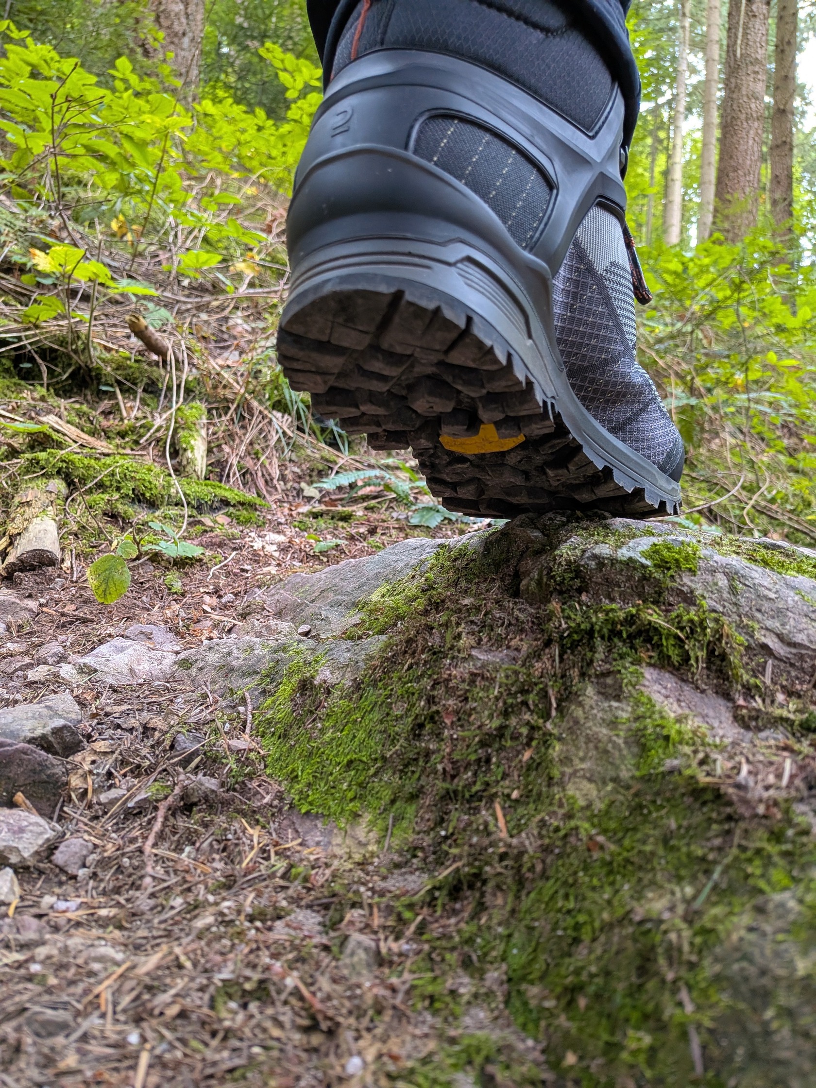 Schuh auf moosigem Fels
