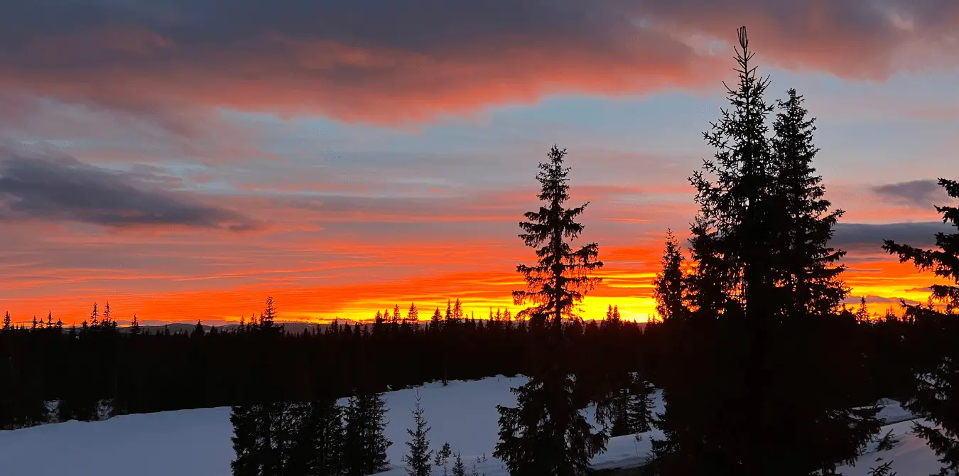 Sjusjoen - Langlaufen - Norwegen