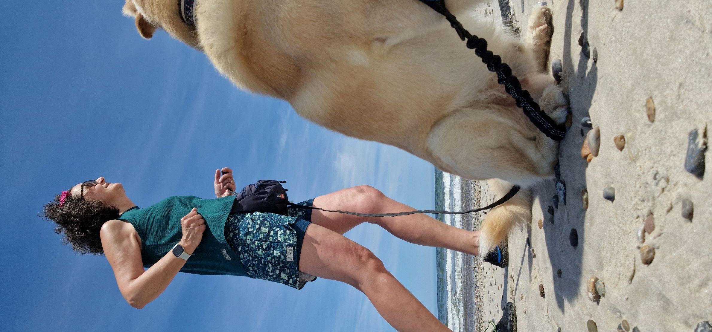 Laufen am Hund mit dem Wind und den Wellen im Wettbewerb