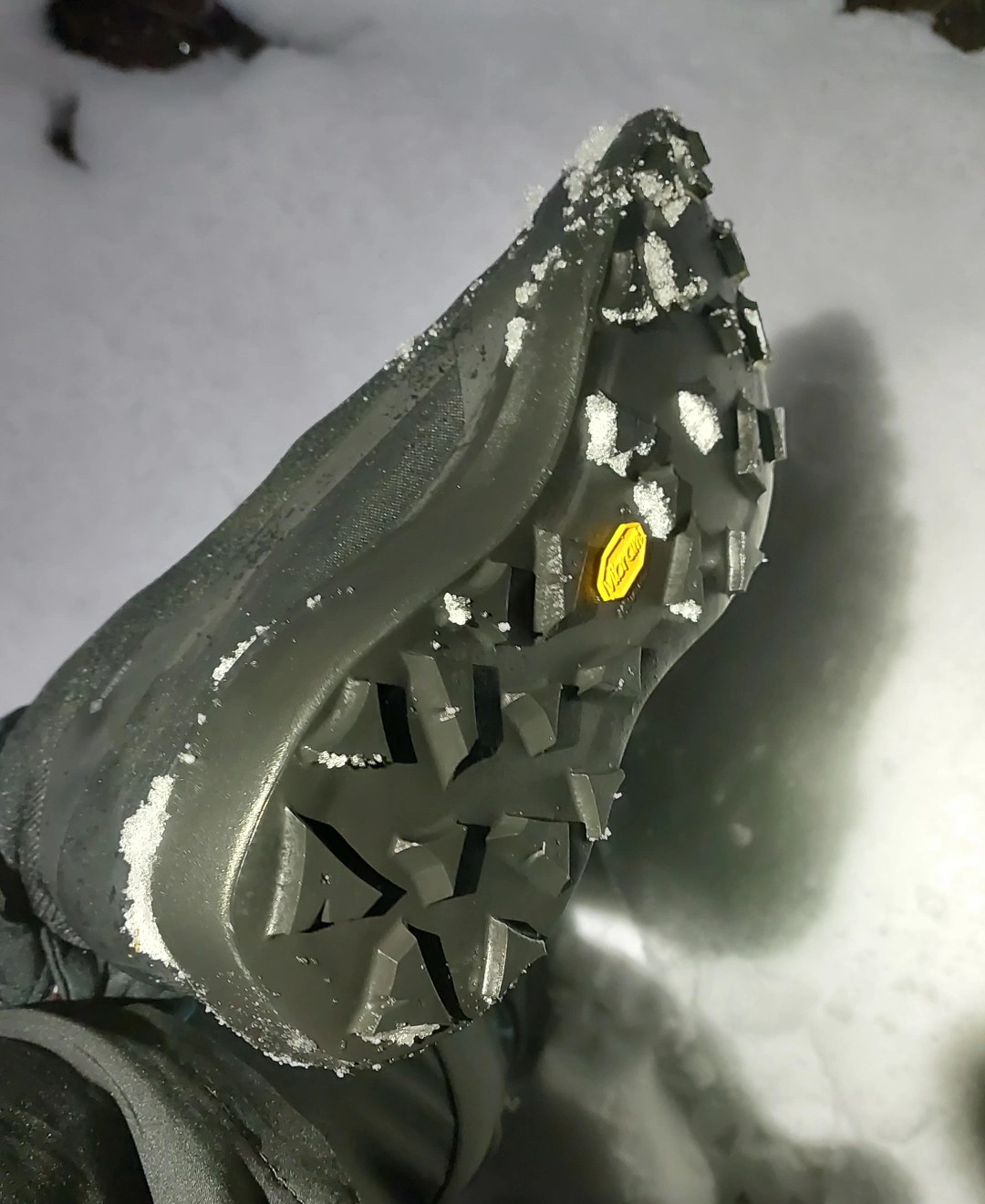 Sohle im Schnee