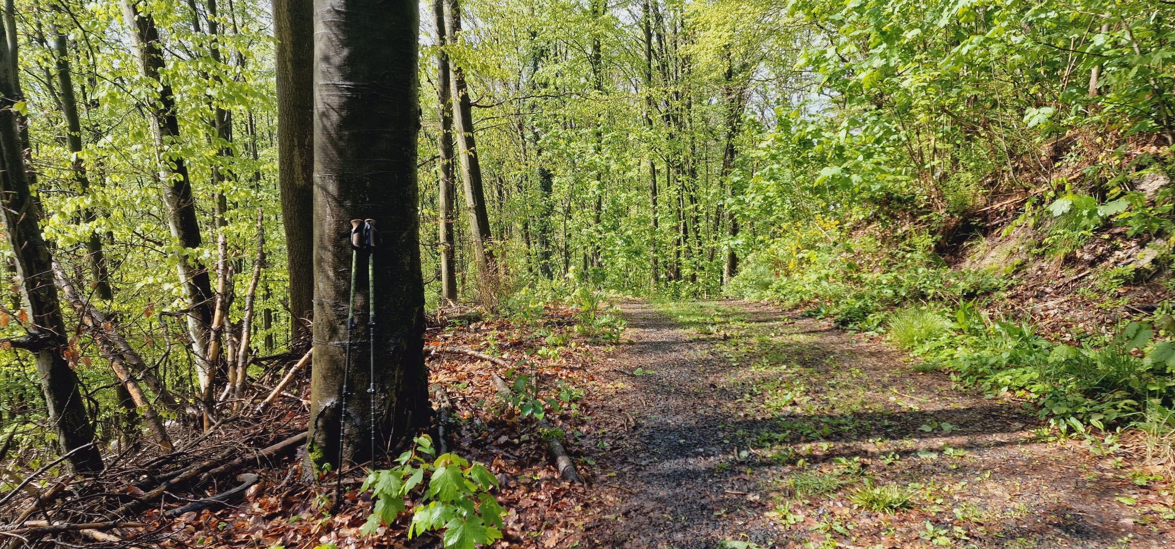 Schlammige Pfade, Geröll und lose Steine wurden mit den Stöcken ohne Probleme gemeistert