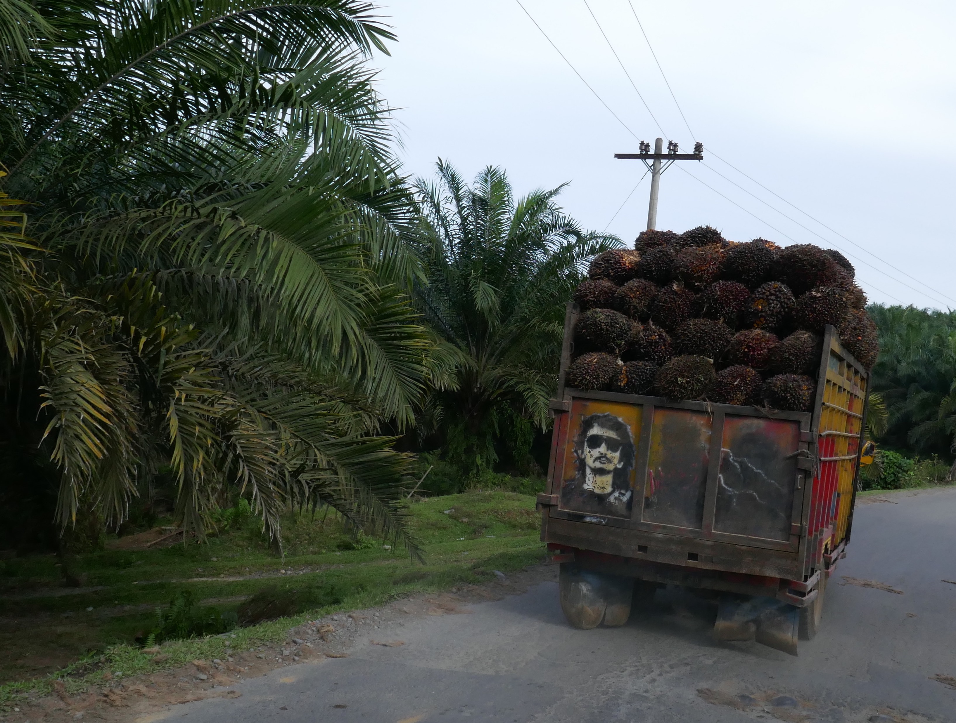 Transport von Palmölfrüchten auf einem LKW in Indonesien