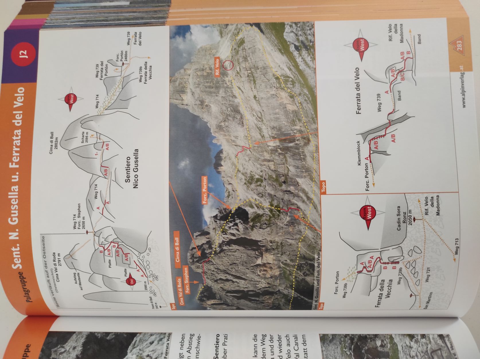Topo & Foto 2