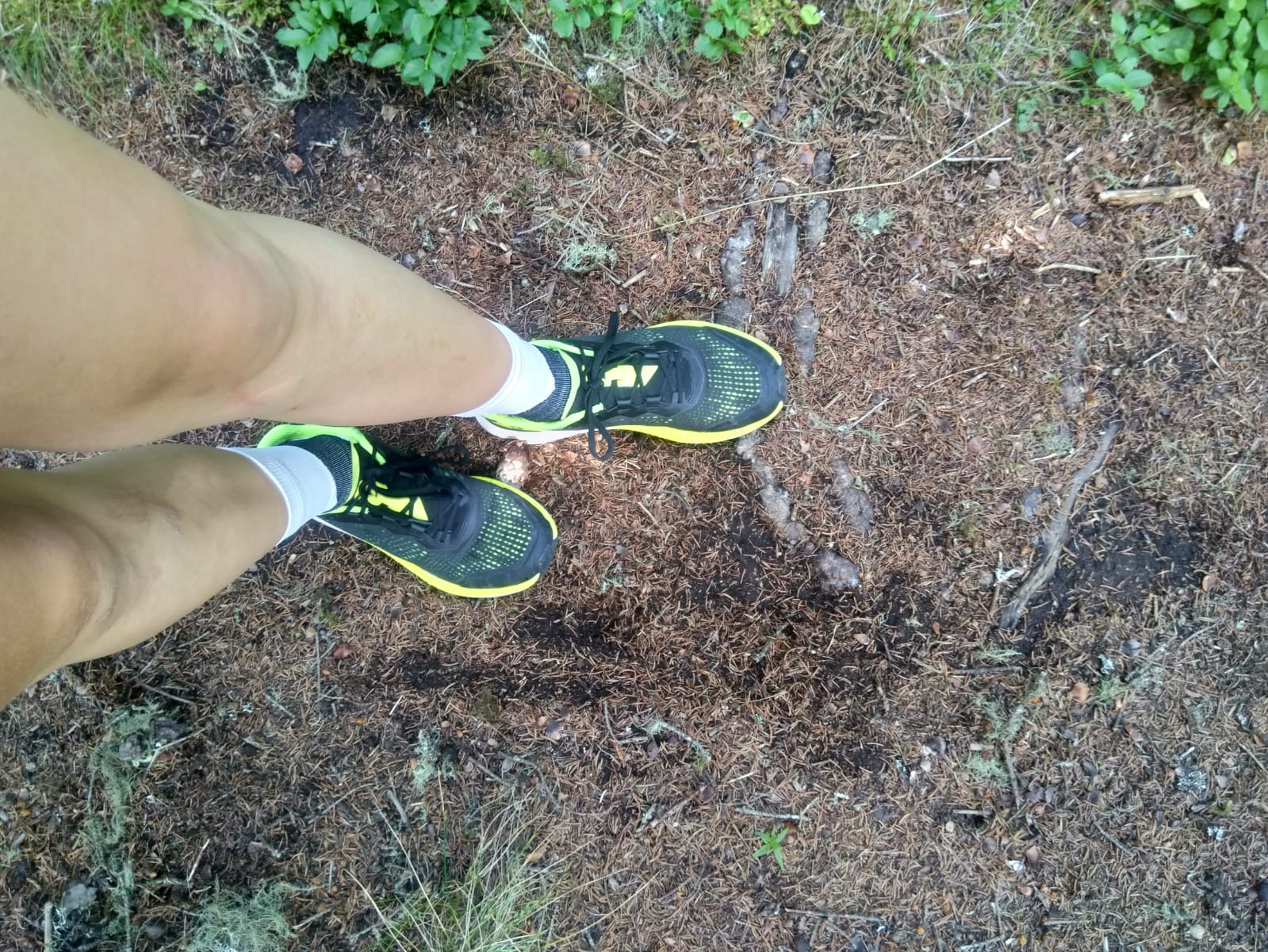 Schuhe auf Waldweg
