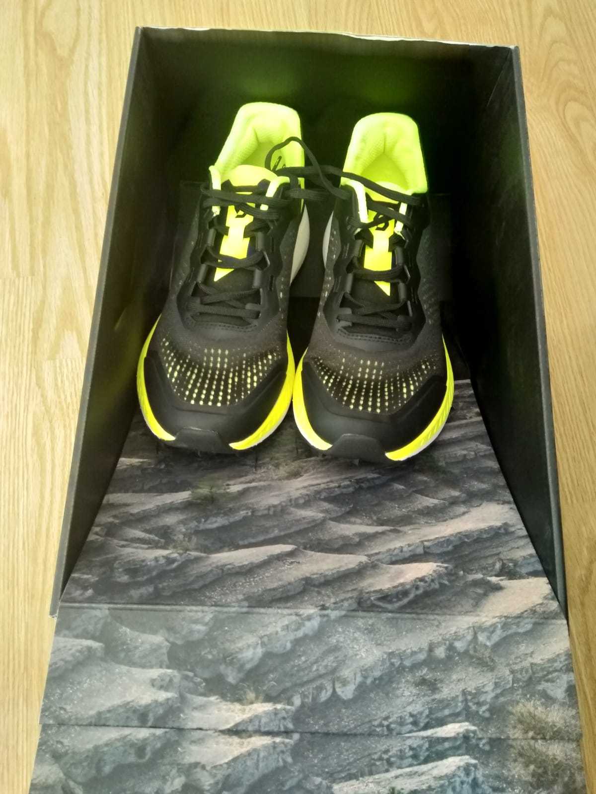 Schuhe in der Box