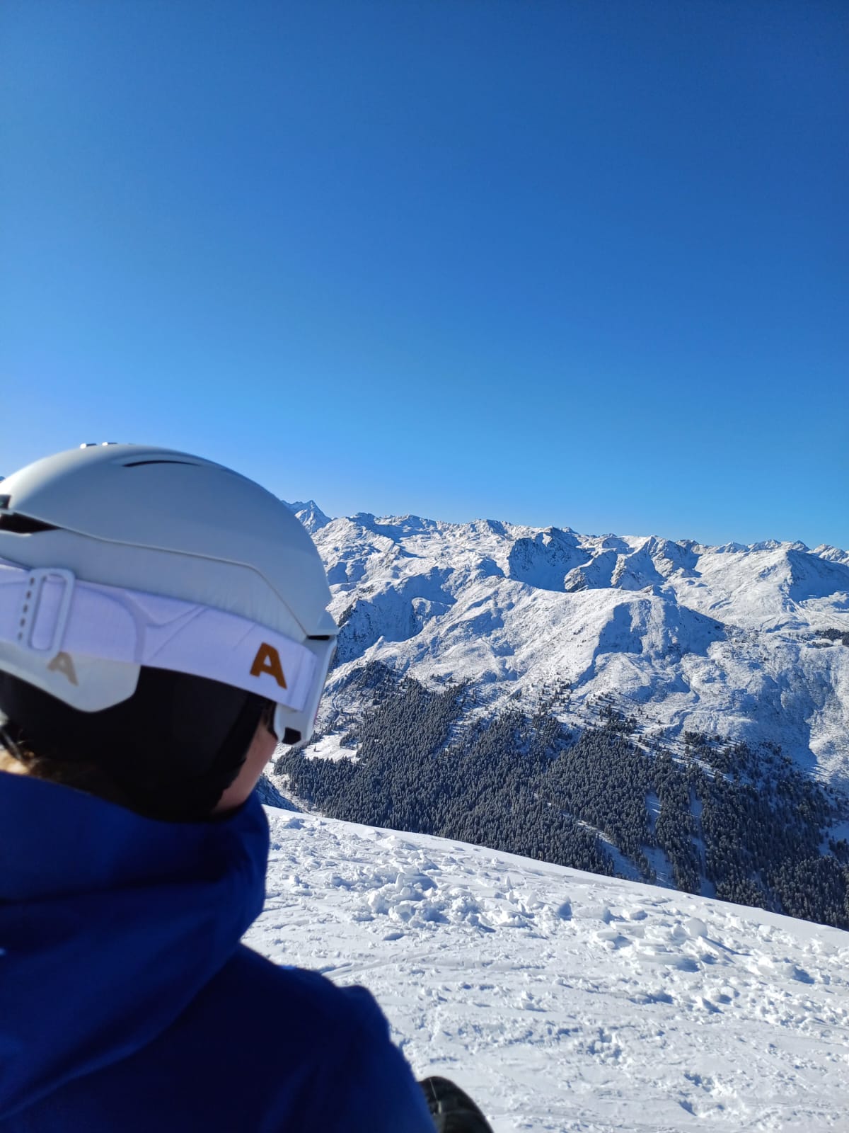 Von hinten