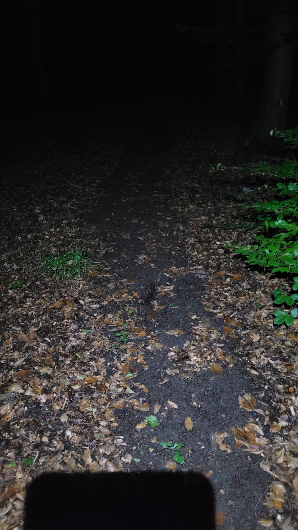 Lichtkegel gestreut