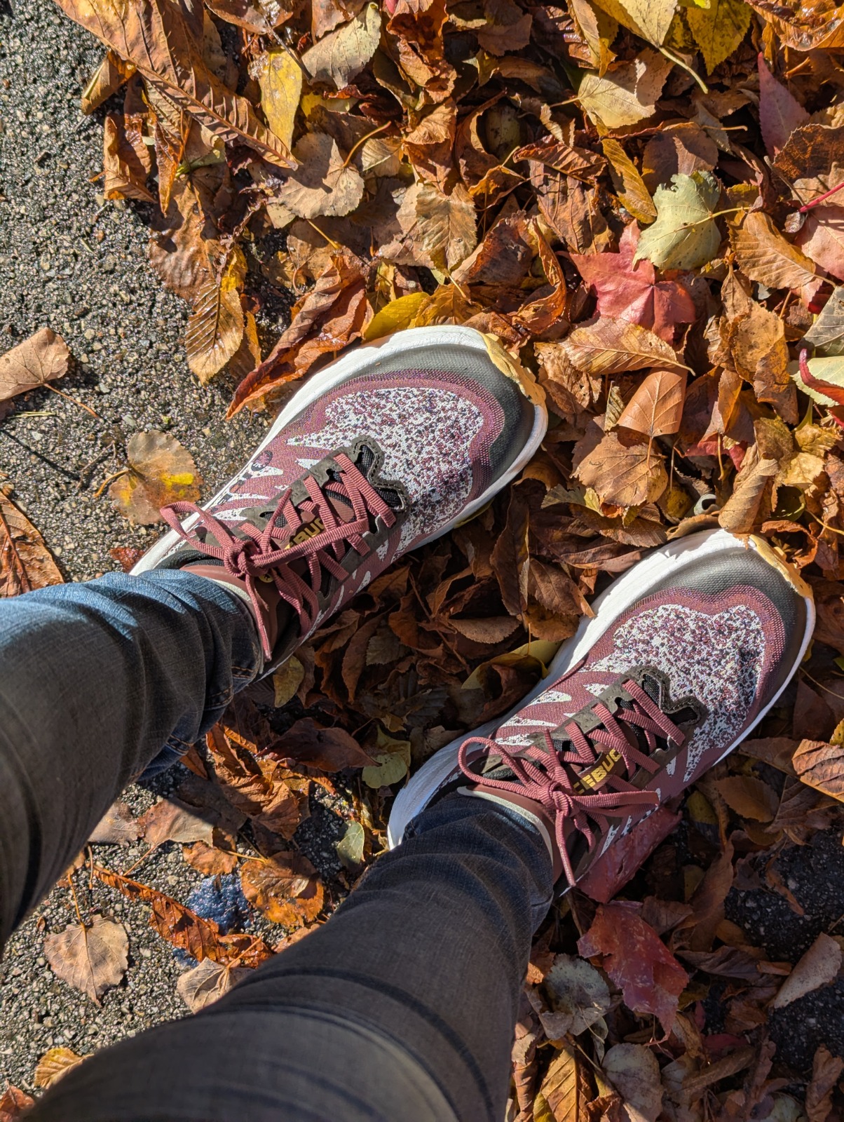 schuh