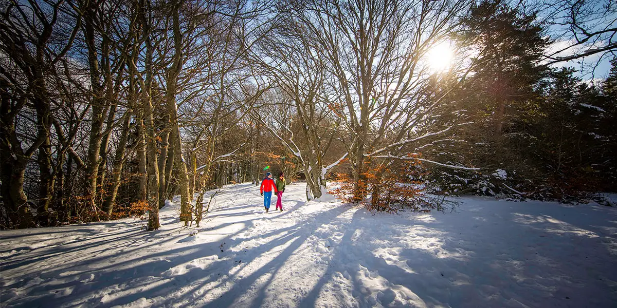 Winterwandern Albstadt