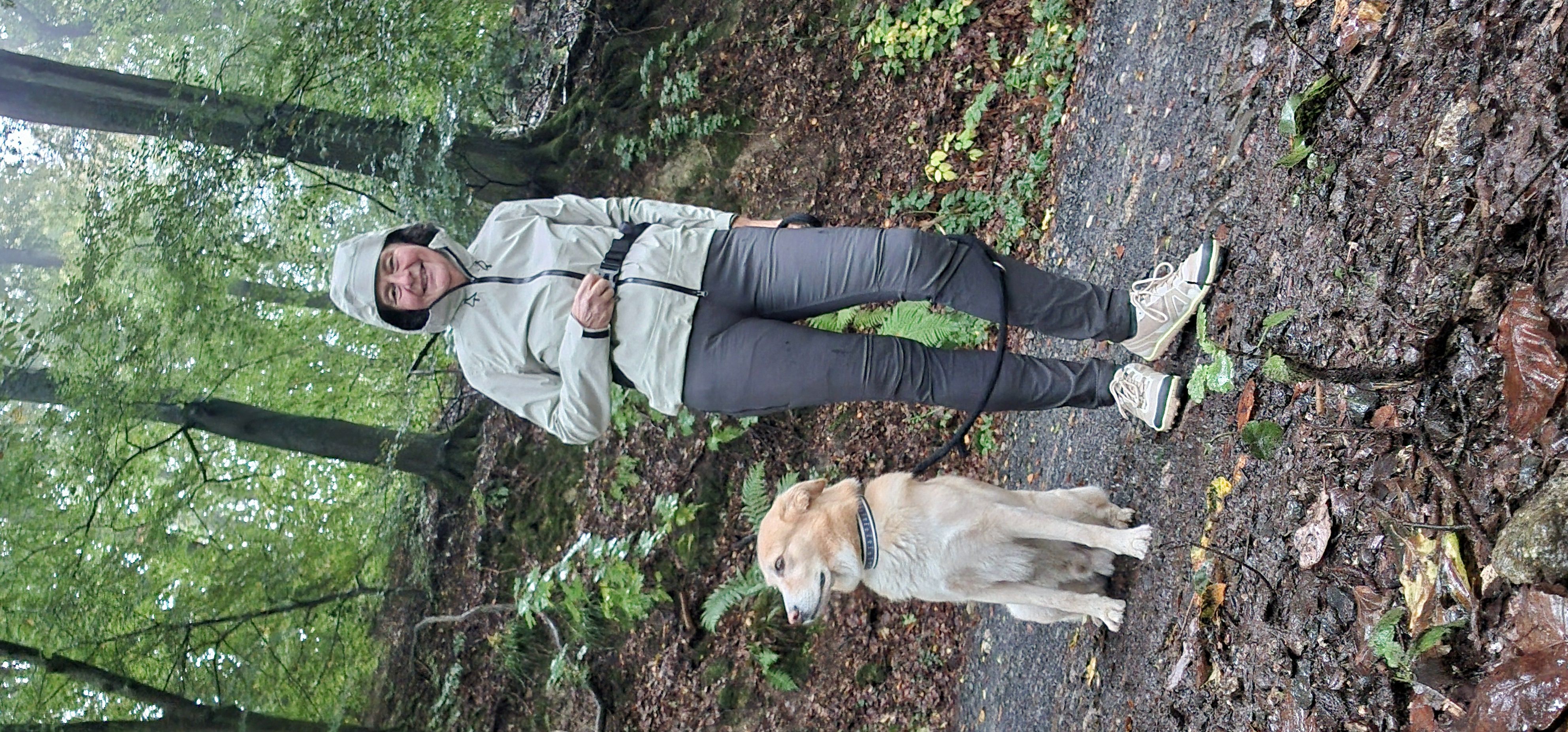 Neben dem Trailrunning war ich auch mit dem Hund im Siebengebirge wandern.