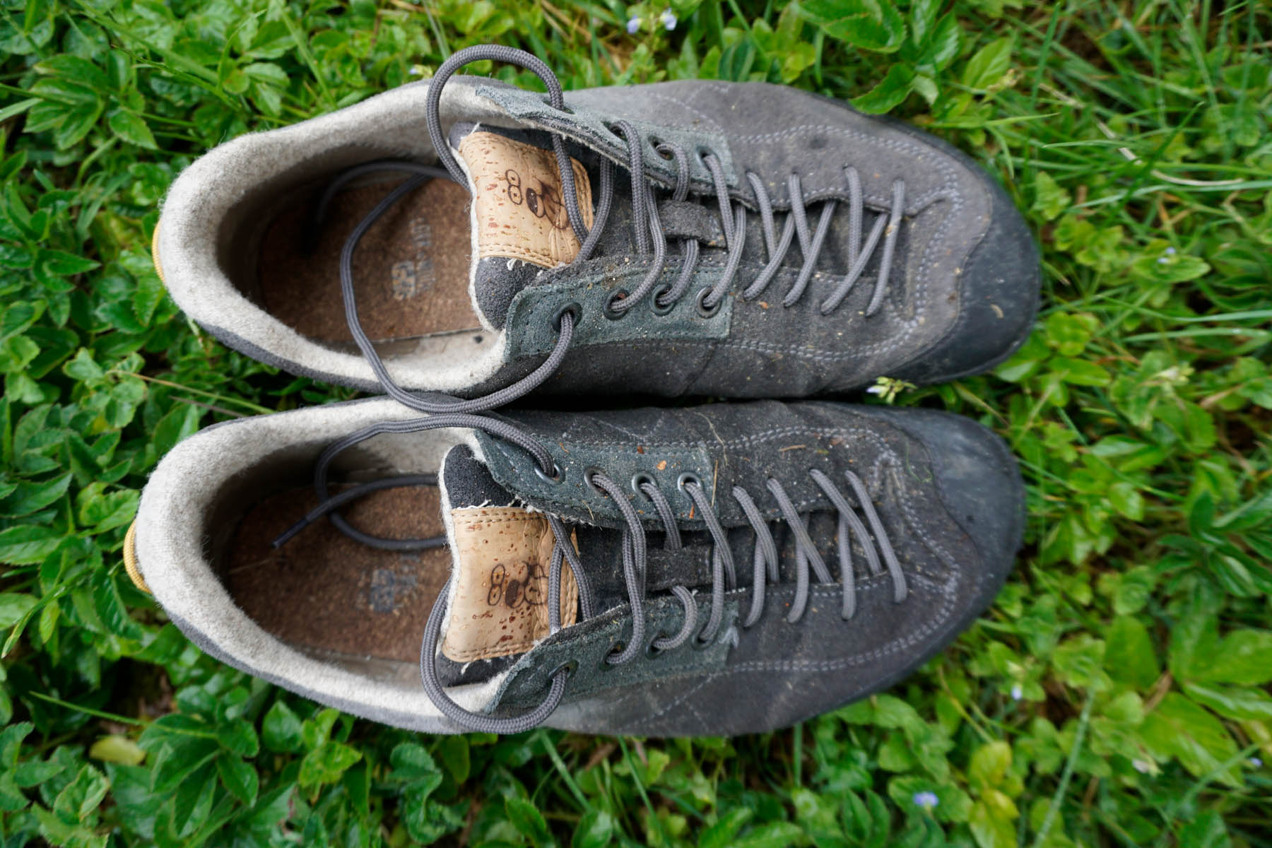 DOGHAMMERTerrar Rock Wool - Barfuß-Wanderschuhe