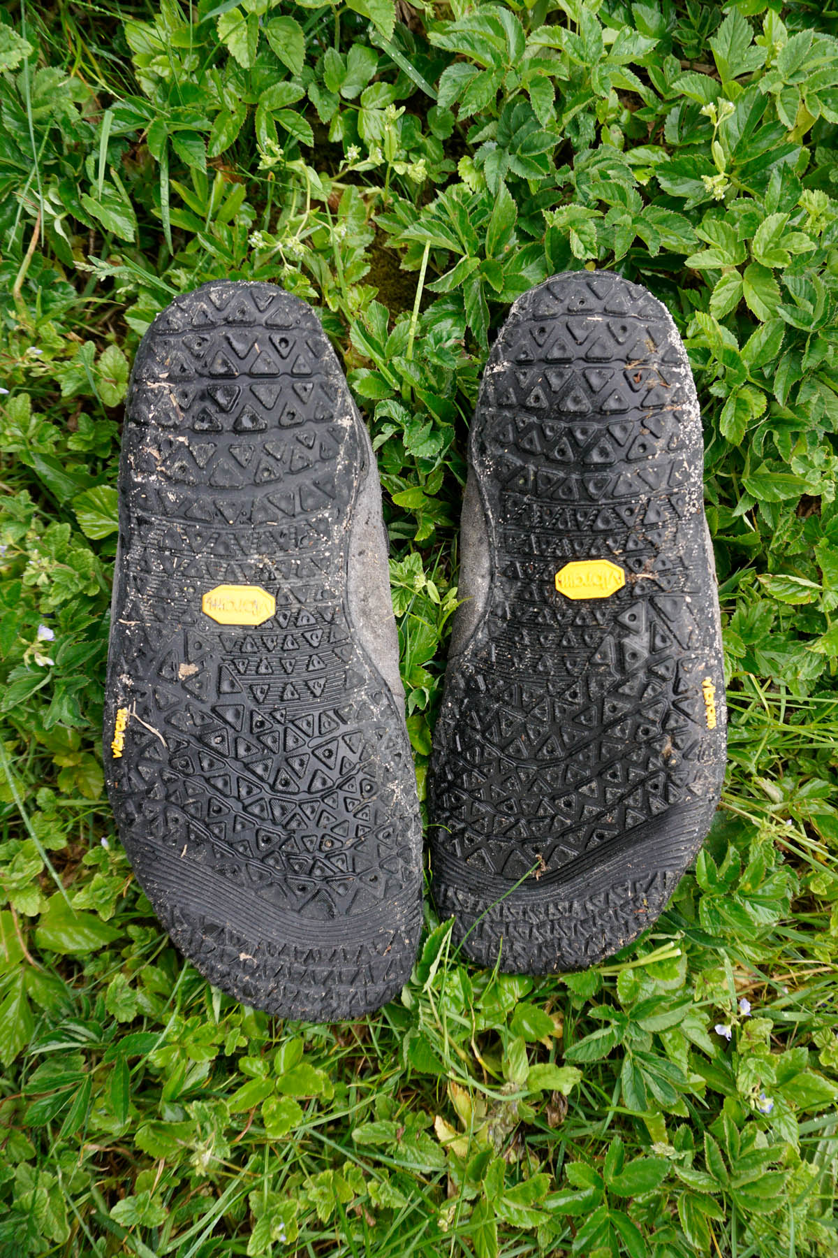 DOGHAMMERTerrar Rock Wool - Barfuß-Wanderschuhe