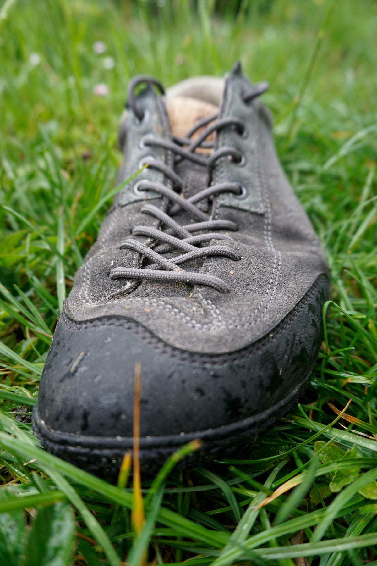 DOGHAMMERTerrar Rock Wool - Barfuß-Wanderschuhe