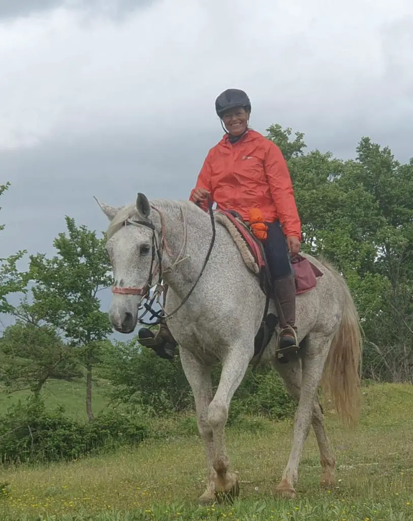 auf dem Pferd getestet