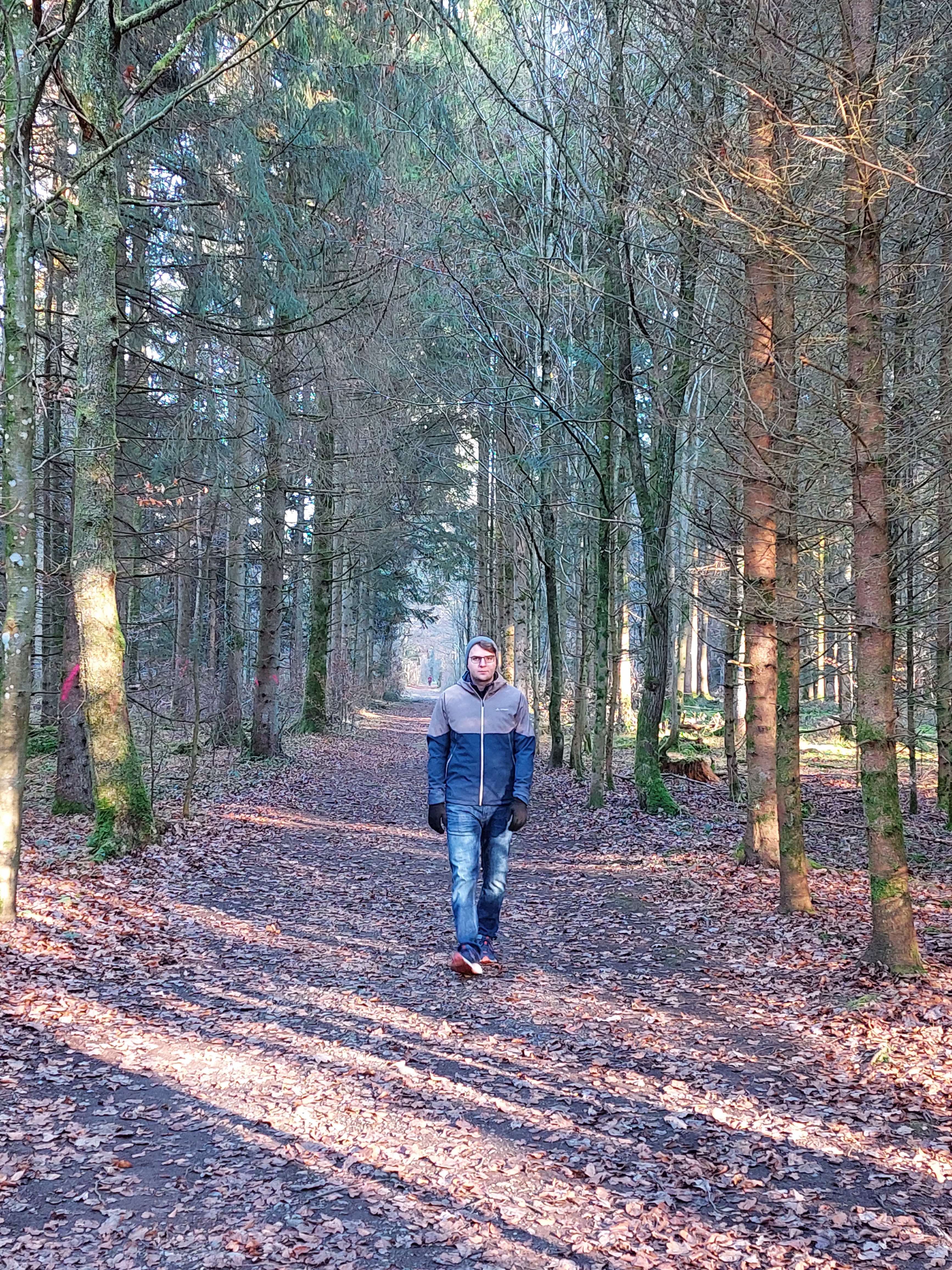 imwald