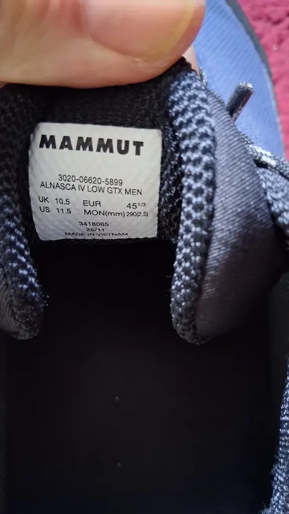 Der kompetente OUTSIDEstories-Test: MAMMUT Alnasca IV Low GTX - Approach Schuhe – Vielseitiger Allrounder a...