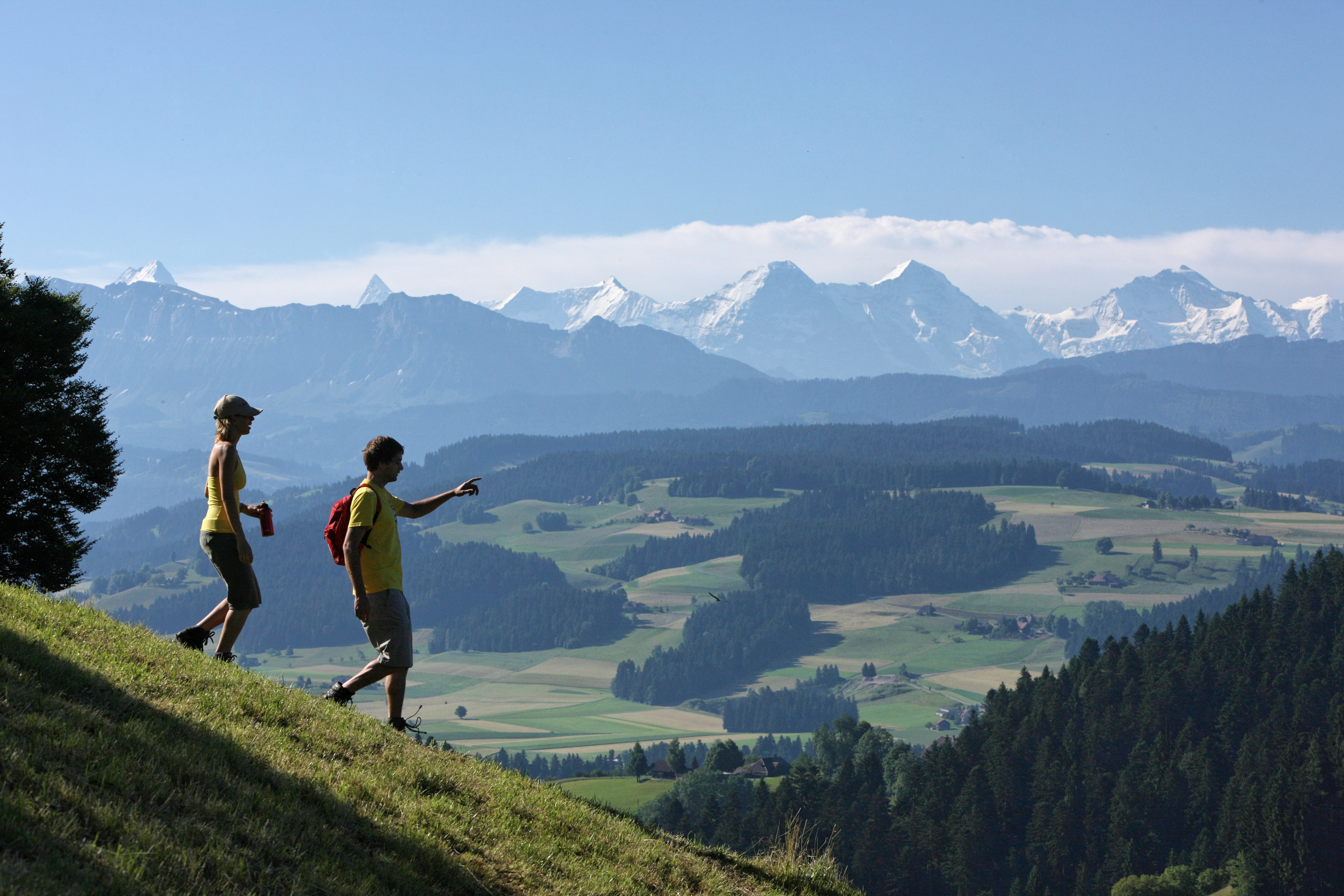 Emmental