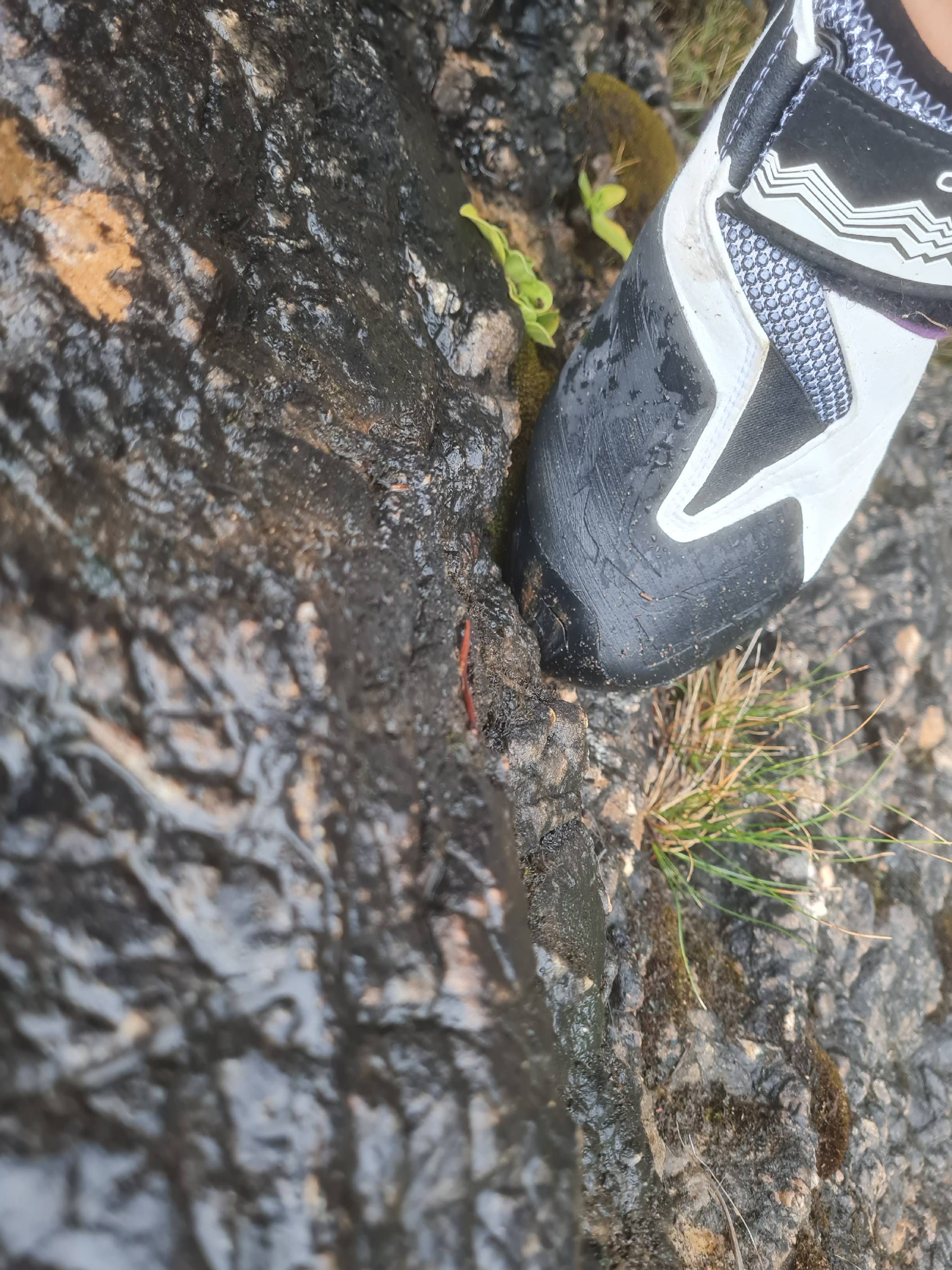 Der kompetente OUTSIDEstories-Test: Der Scarpa Origin VS LV