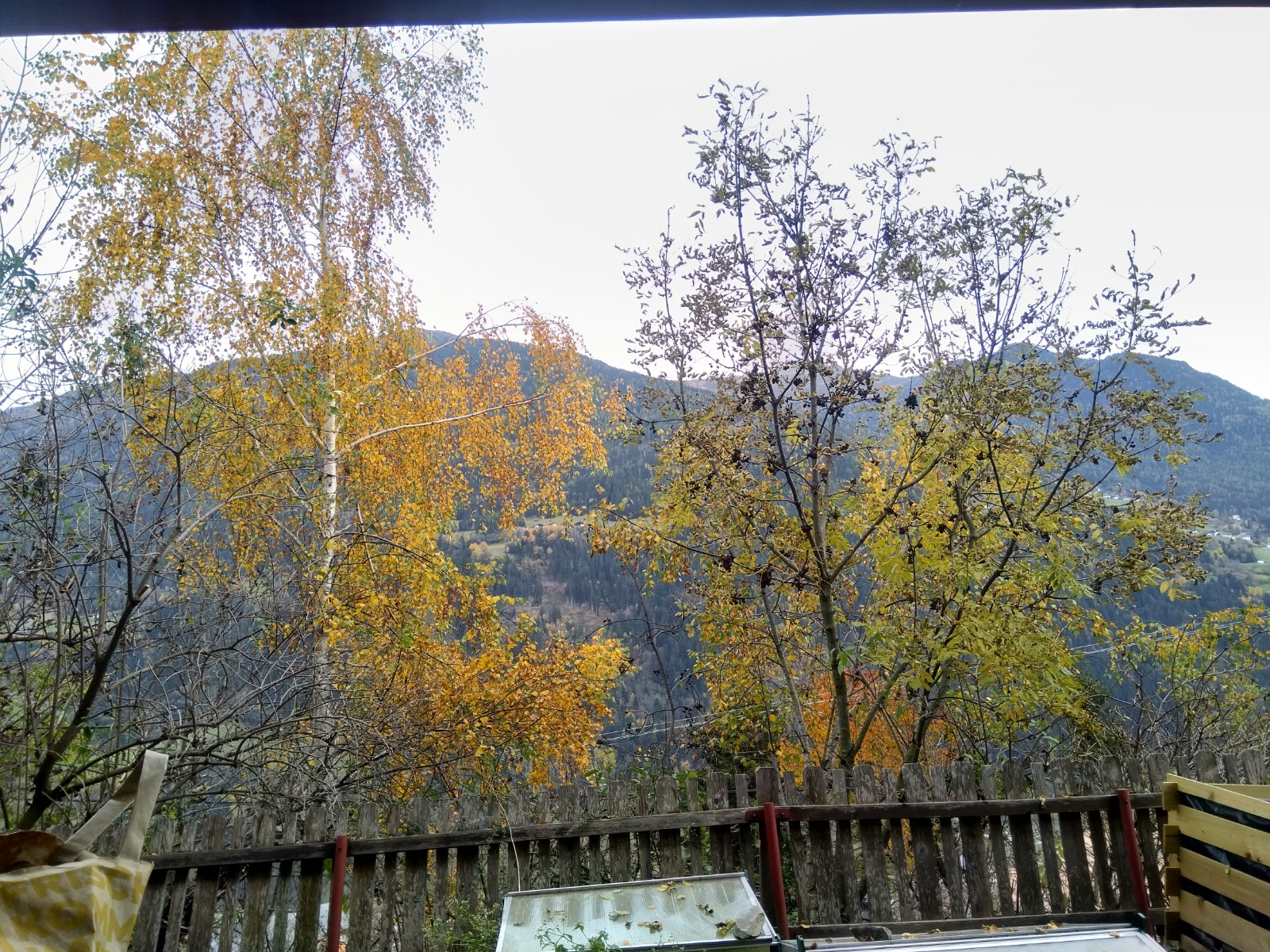 ohne Filter
