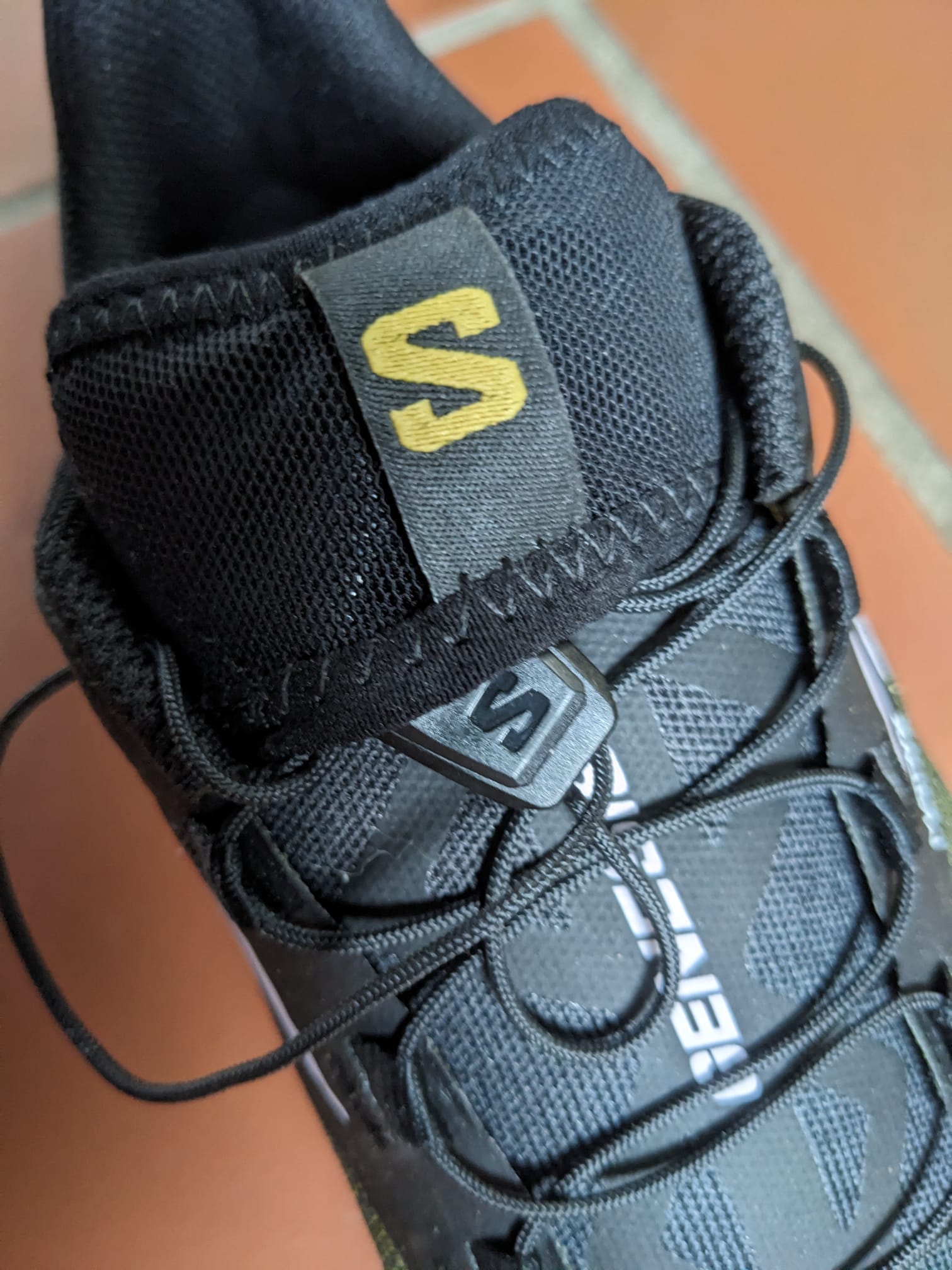 Schuhzunge