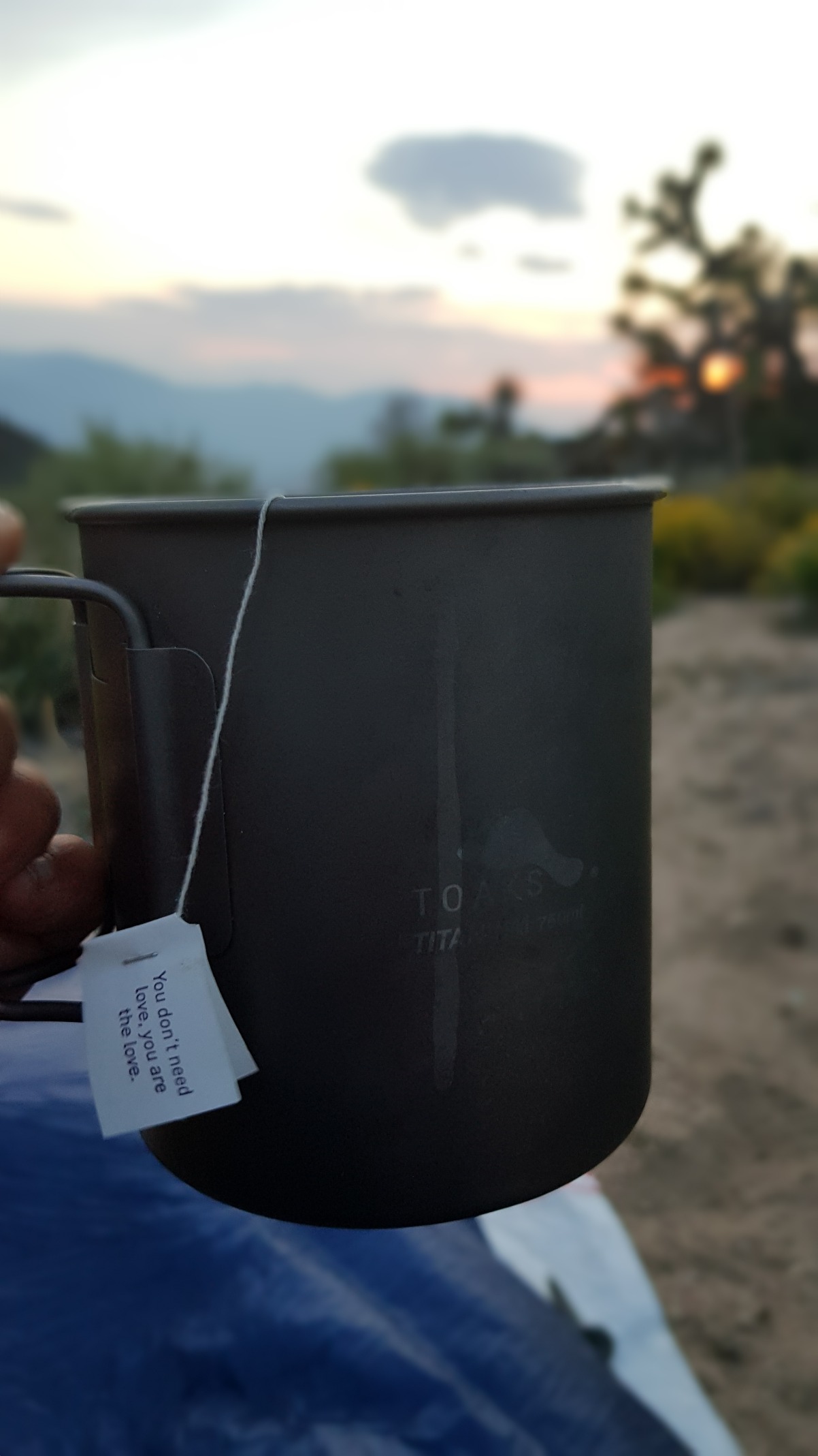 Abendlicher Tee im Toaks Topf