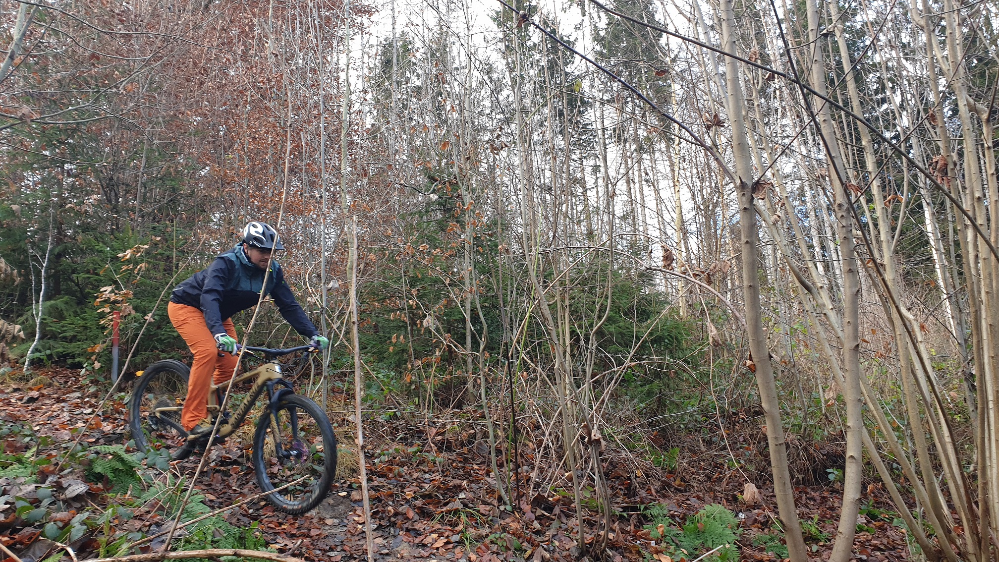 vaude