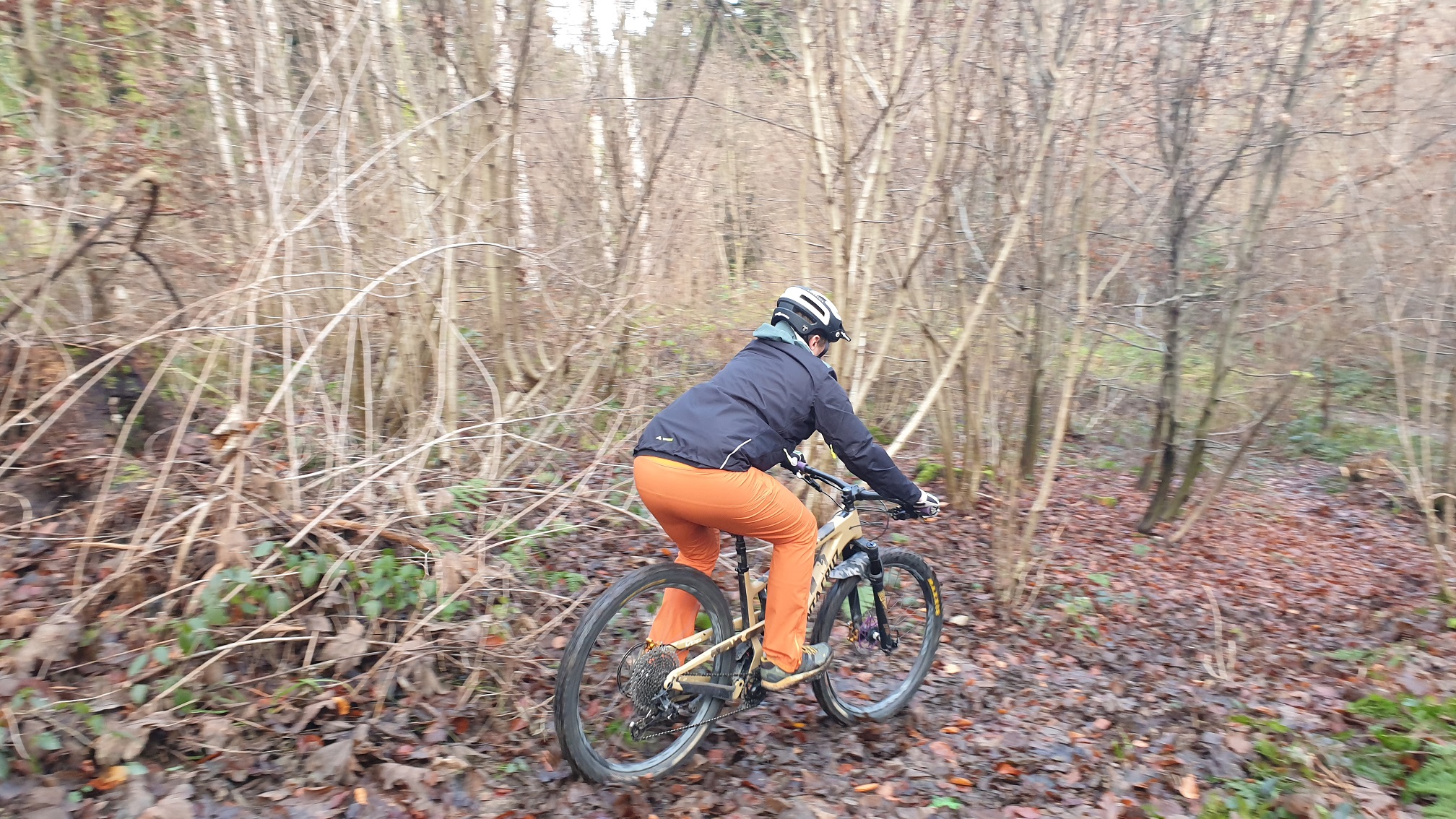 vaude