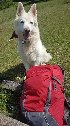tremalzo 22