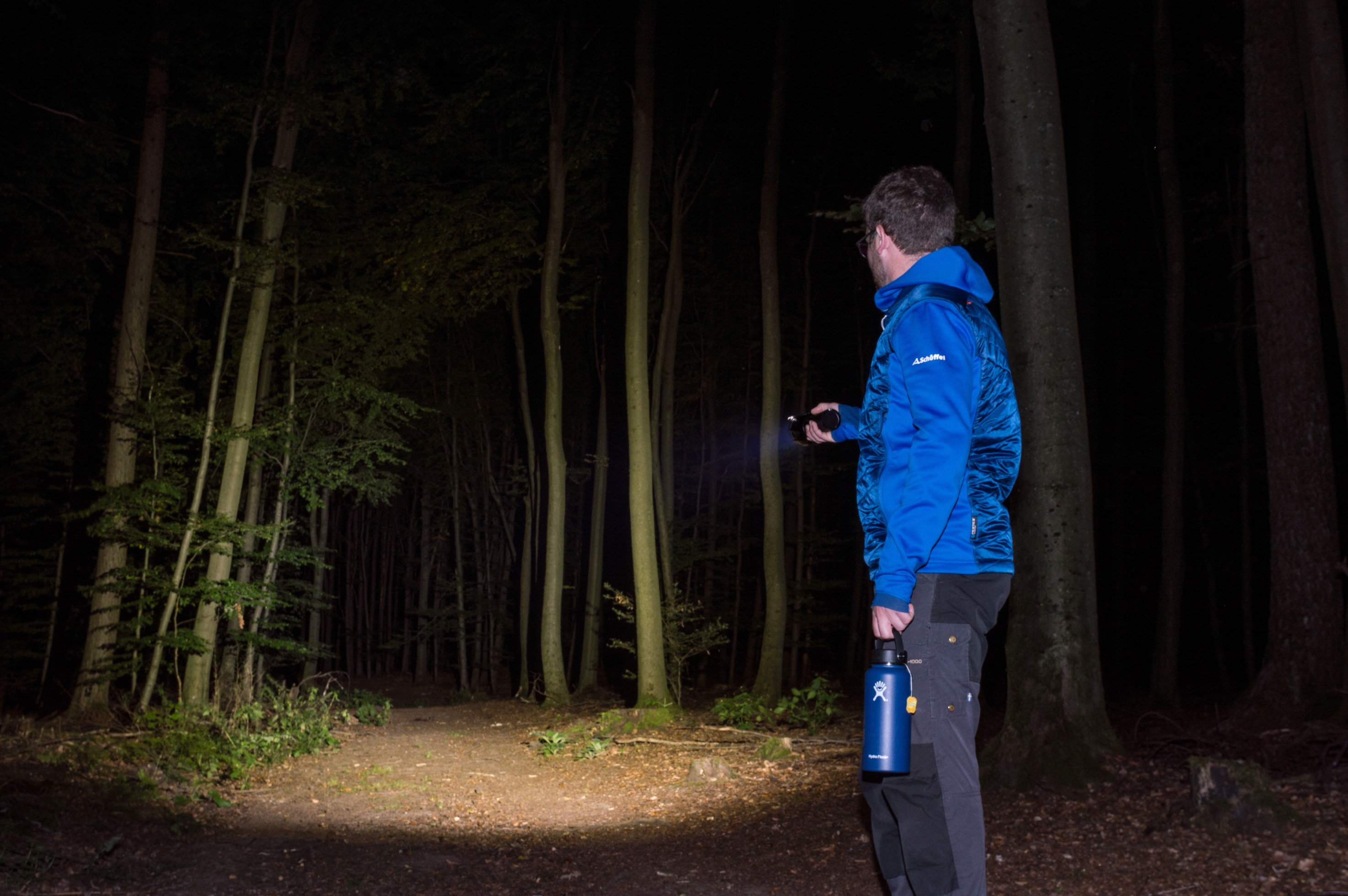 Wald ausleuchtung