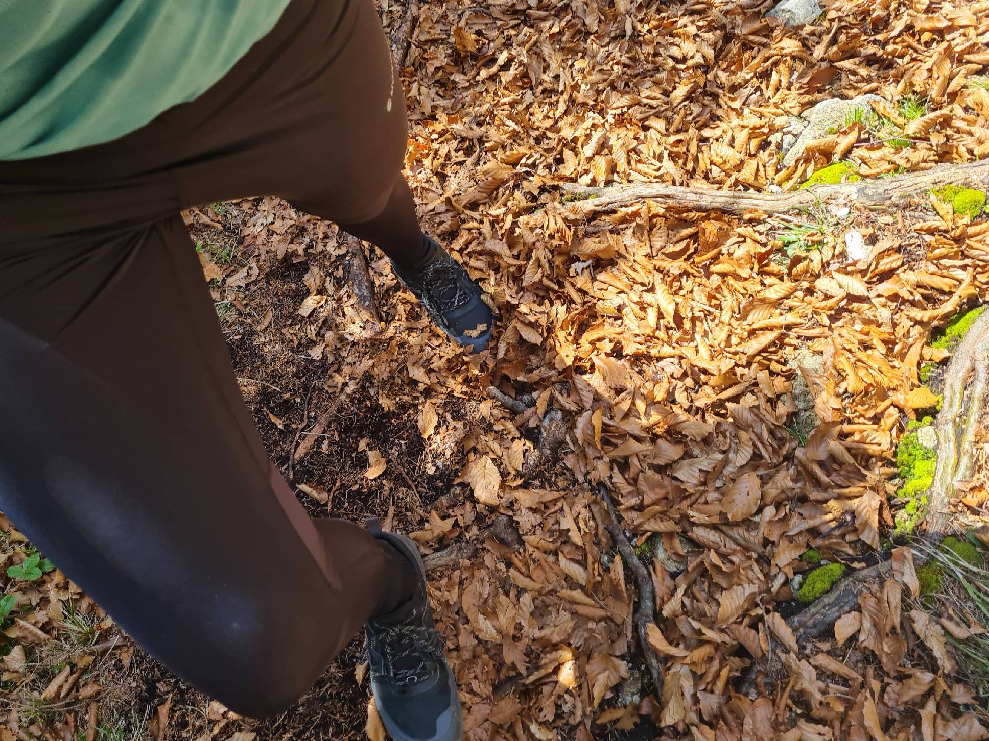 Der kompetente OUTSIDestories-Test: MONTANE Slipstream - Trailrunning Tights, Damen 