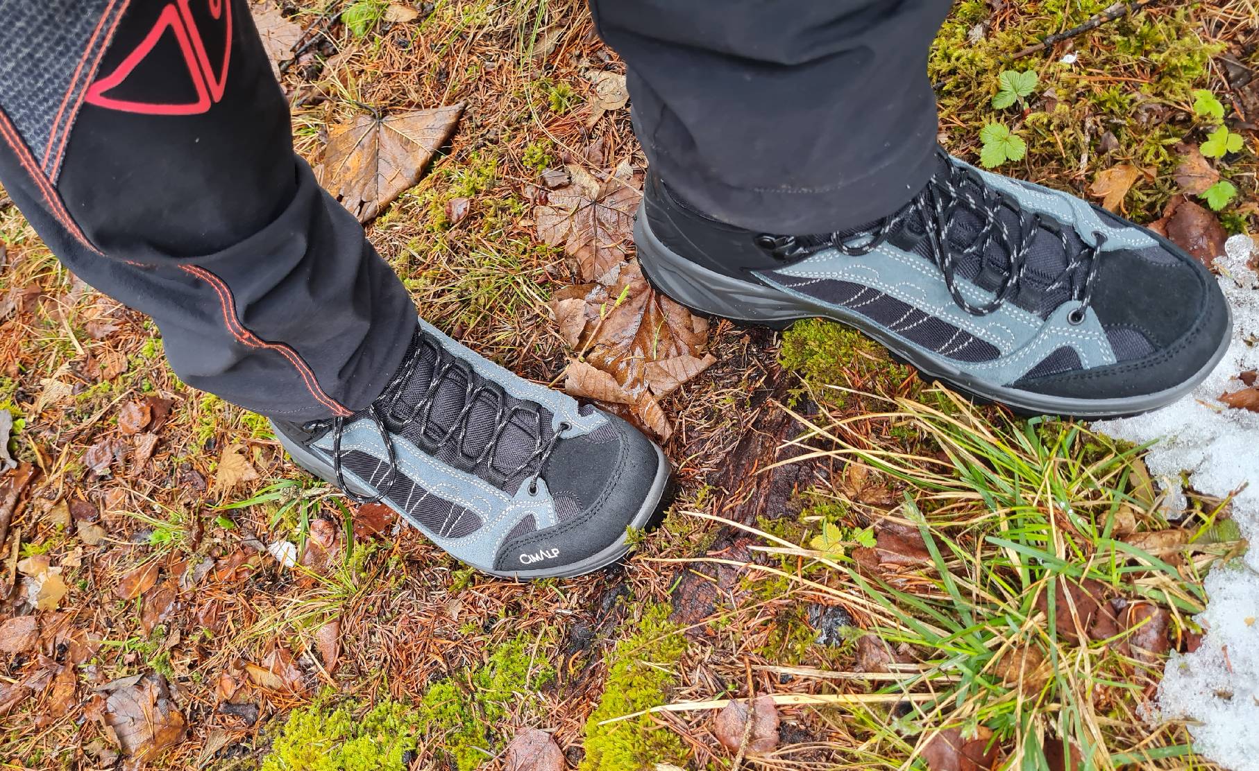 Wandern_wald