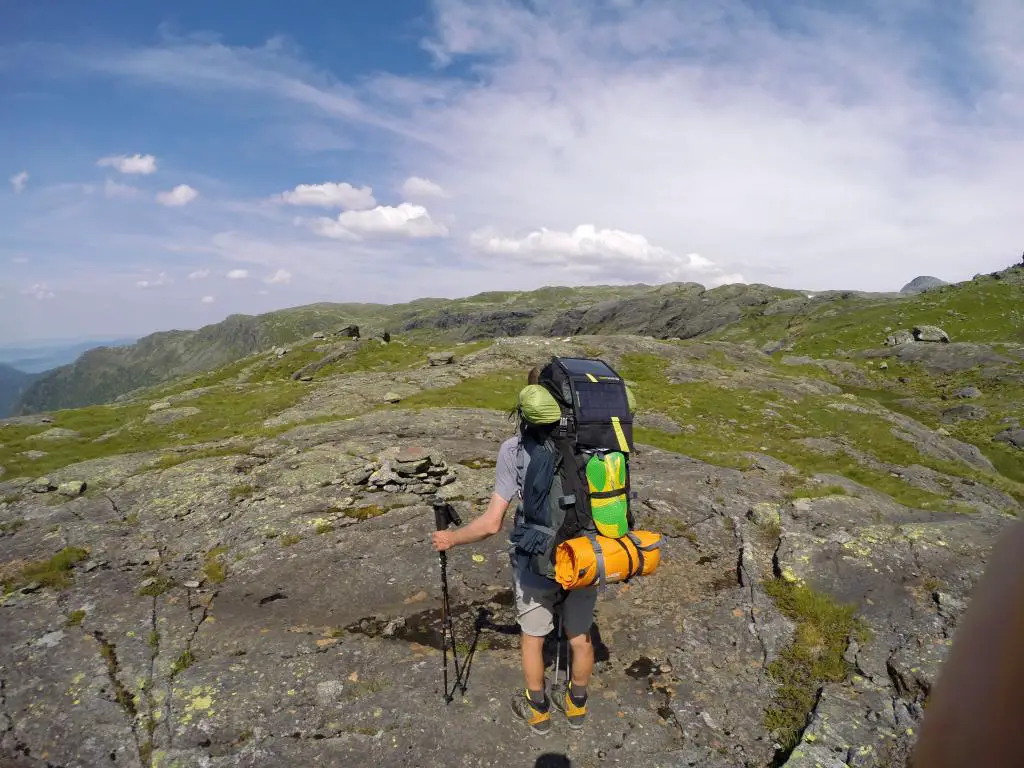 Norwegian Summer