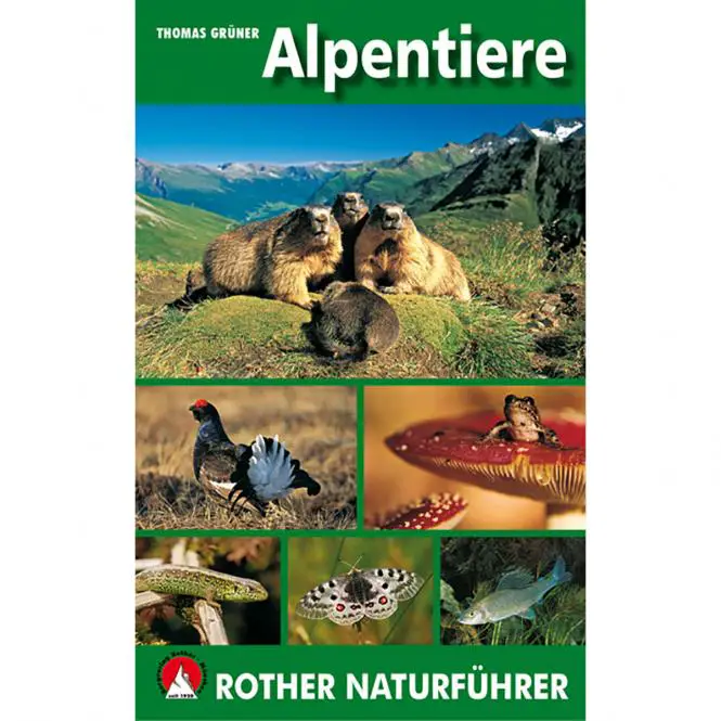 ROTHER BERGVERLAG Alpentiere Naturführer - Fachbuch