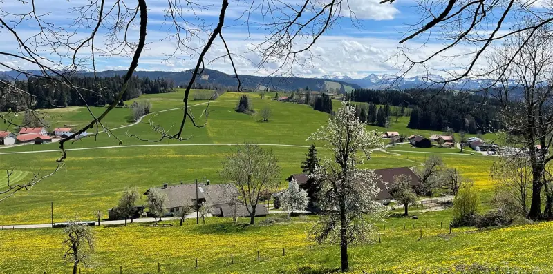 Oberstaufen