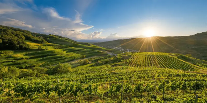 Wandern Schwarzwald Kaiserstuhl