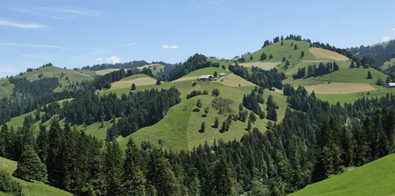 Emmental