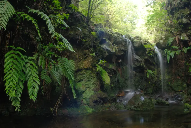 OUTSIDEstories 5 Wandertipps auf Madeira