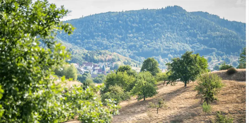 Wandern Schwarzwald 
