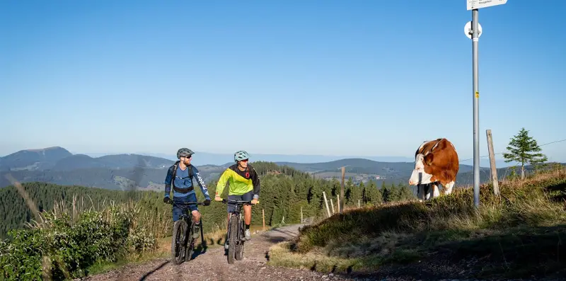 Der OUTSIDEstories-Unterwegstipp: Mountainbike-Gipfeltrail im Hochschwarzwald
