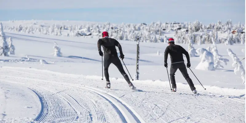 Skiwachs - Zur Pflege deiner Ski oder Snowboard