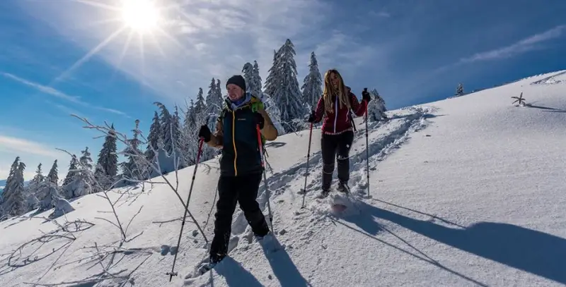 Schneeschuh-Touren Schwarzwald