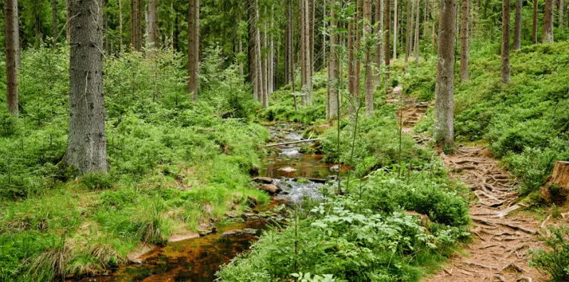 Fichtelgebirge